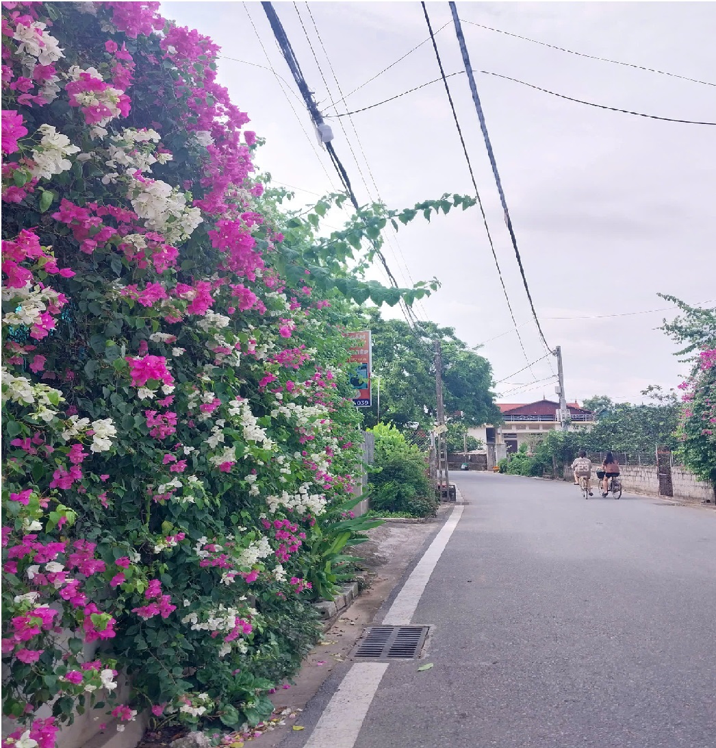 [Chính Chủ Bán 75 m Đất - Văn Giang - Hưng Yên] Gần ECOPARK - MT 6.5m SĐCC. Nở hậu.